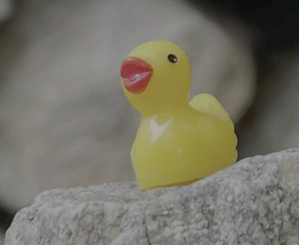 Banner image of Wild Duckling