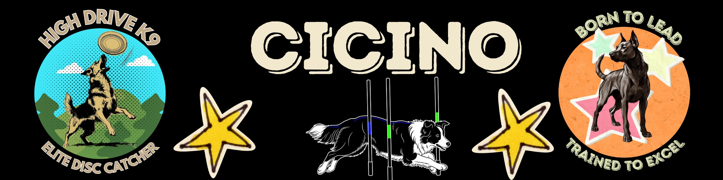 Banner image of cicino