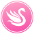 Wise Swan