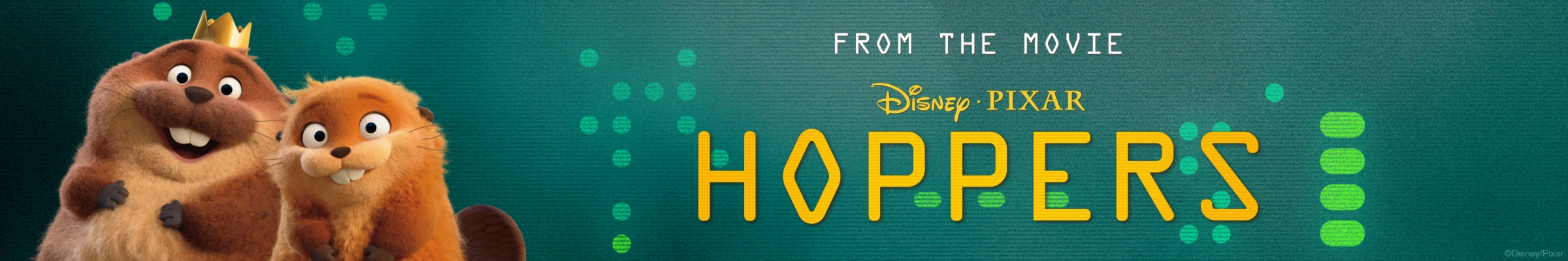 Bannerbild von Hoppers Official