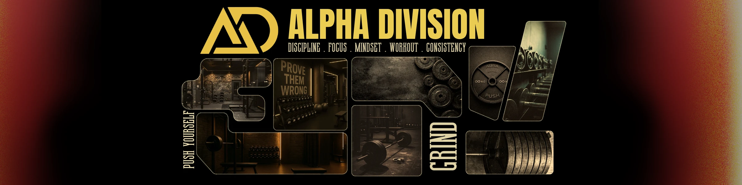 Banner image of ALPHA DIVISION