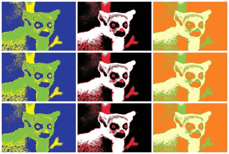 Banner image of Cattastrophe Artwork