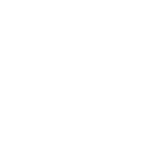 Banner image of Raven Store