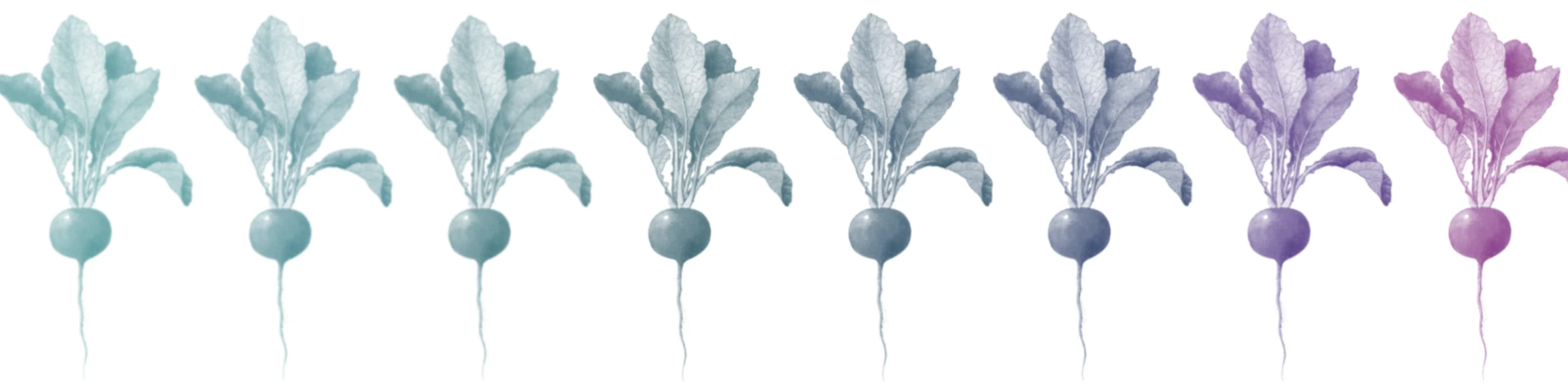 Banner image of FugleFisk