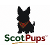 ScotPups