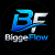 BiggeFlow