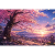SakuraLineArt