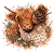 Highland_Herzenssache