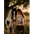 Sanne