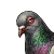 Faunaen-i-feil-farger