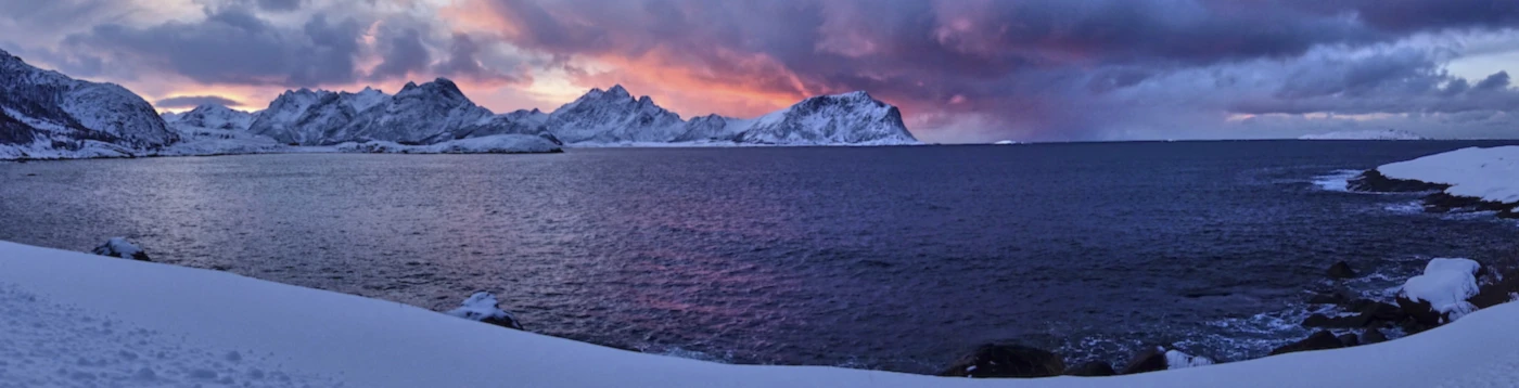 Banner image of Breiers Blog