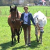 Ponyhof