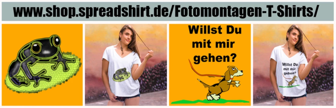 Bannerbild von RKFoto