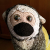 Hayify