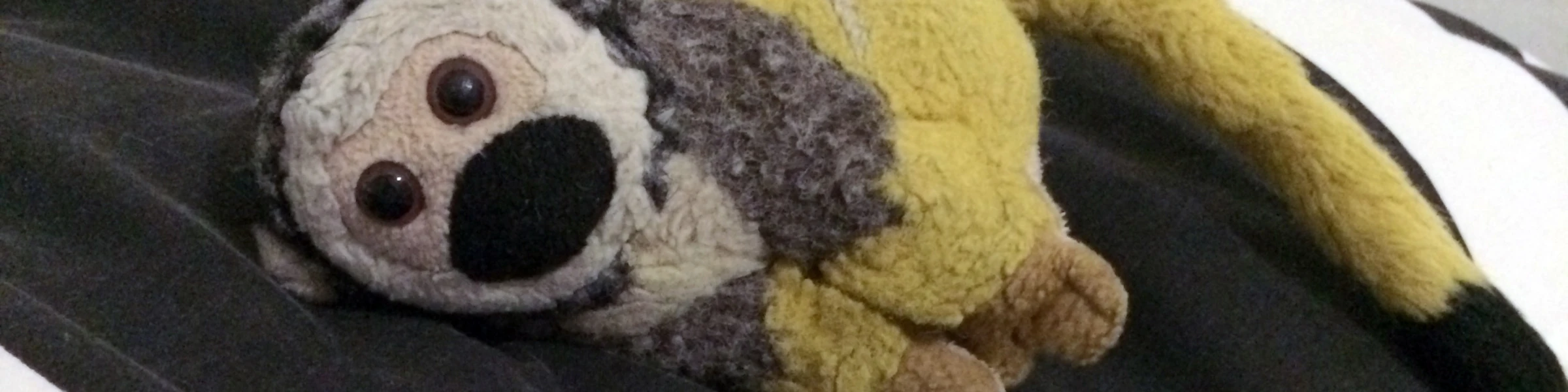 Banner image of Hayify
