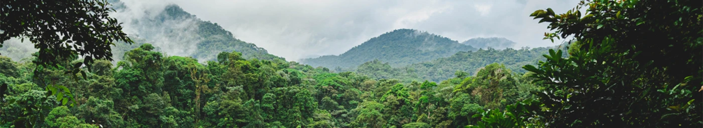 Banner image of OscarSh