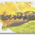 rol-images
