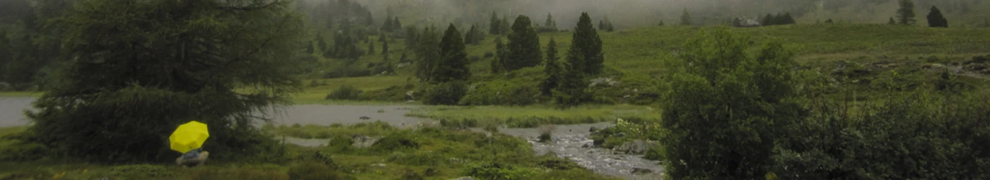 Banner image of ParapluieShop