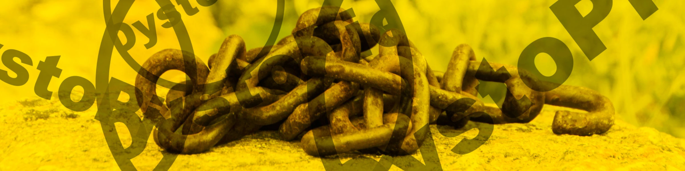 Banner image of DystoPie