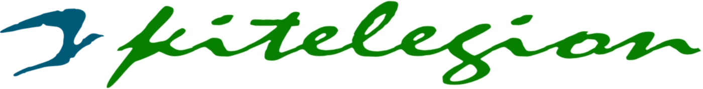 Bannerbild von kitelegion