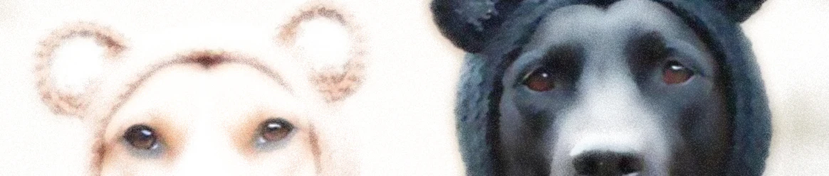 Bannerbild von rotorgabel