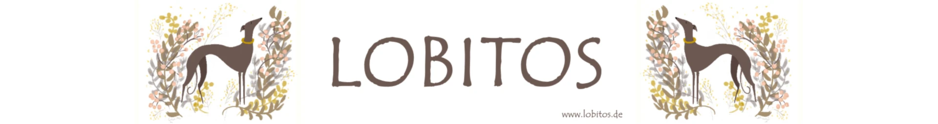 Banner image of lobitos