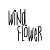 wind-flower