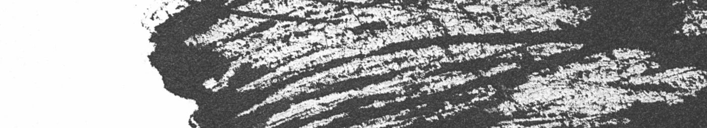 Banner image of Analoggue