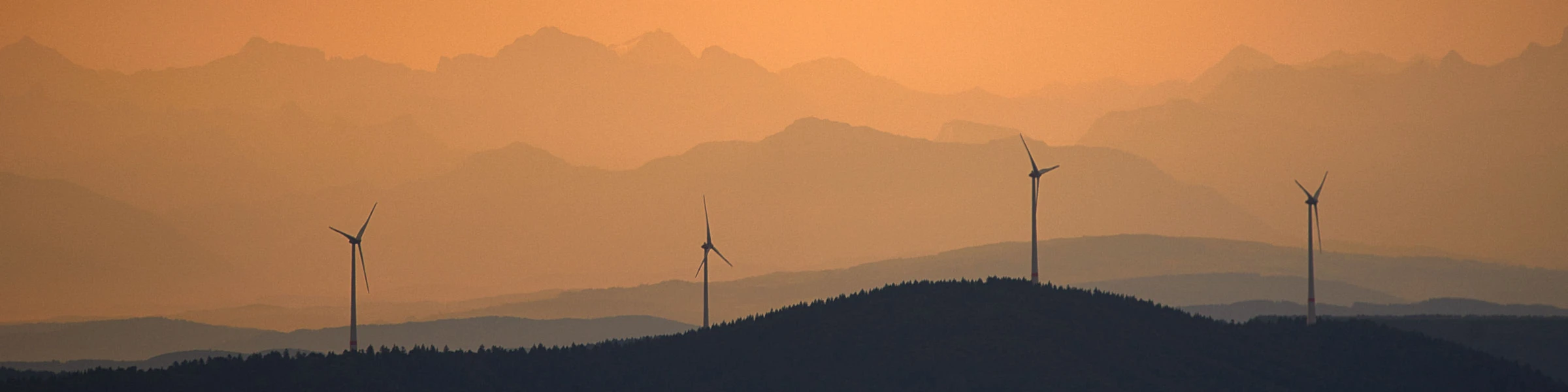 Banner image of Frank-E