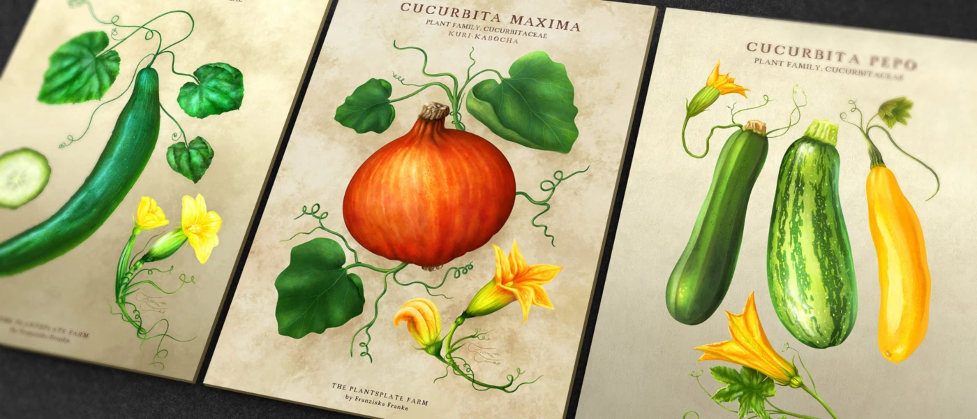 Bannerbild von Farbentracht von Franziska Franke