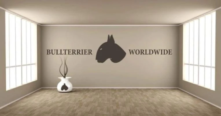 Bannerbild von Bullterrier-Worldwide