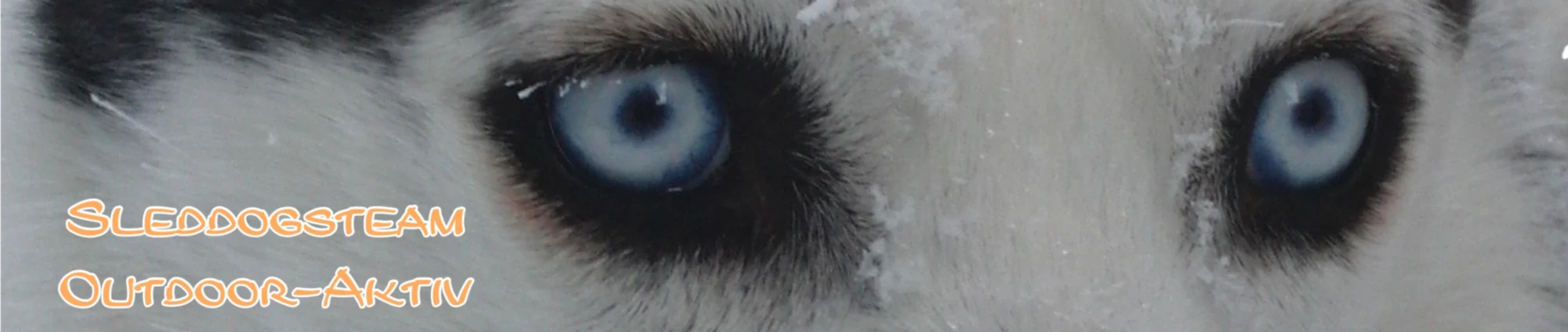 Bannière de Sleddogsteam