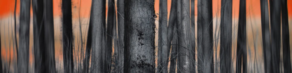 Bannerbild von Howdys