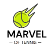 marvel.of.tennis