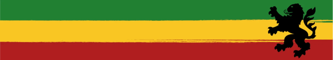 Banner image of AlohaSurf