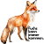Fuchs kann immer kommen