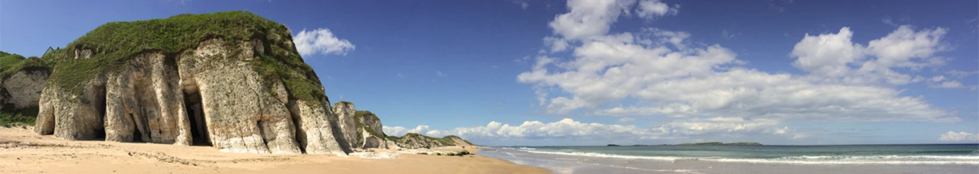 Banner image of aBagOfMixedNuts