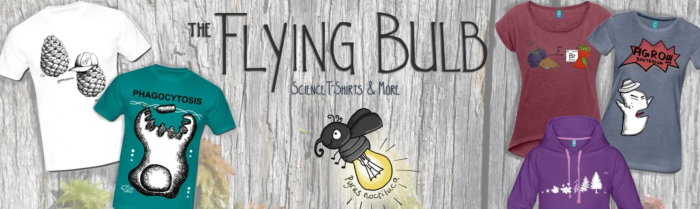 Bannerbild von FlyingBulb