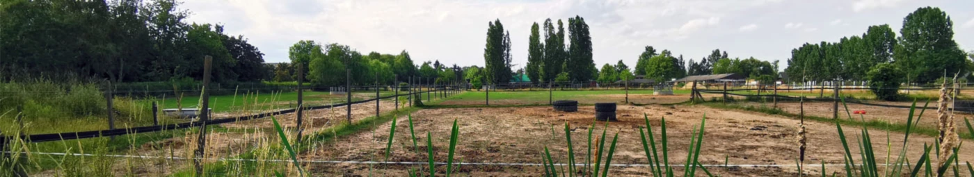 Banner image of Tom4