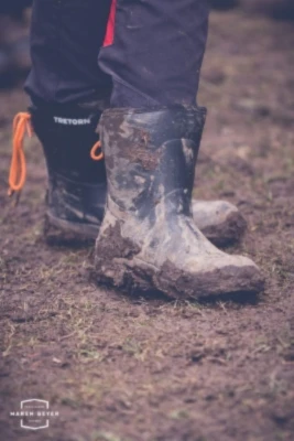 Bannerbild von boxerforever