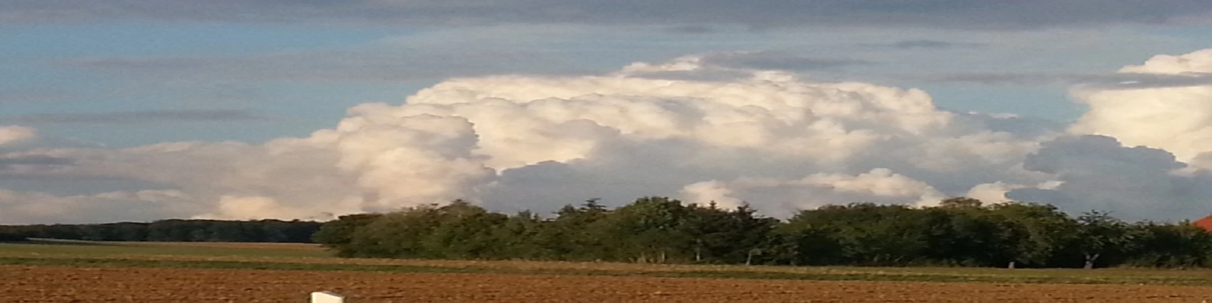 Banner image of Markus Willi Ebert