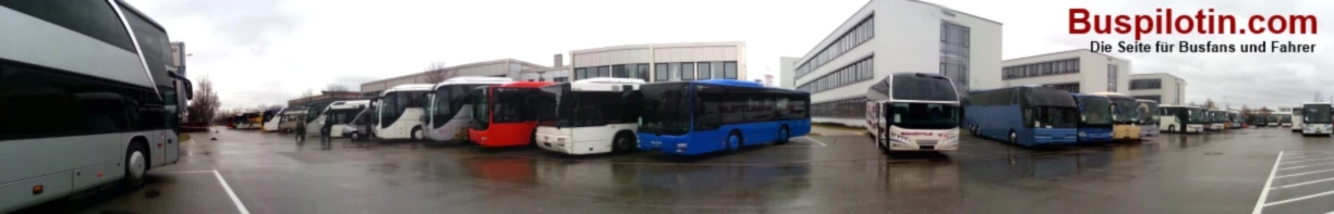 Bannerbild von Buspilotin