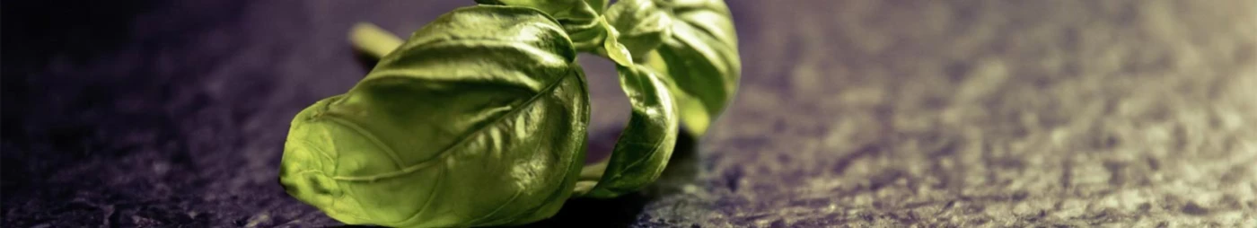 Banner image of RWDesign