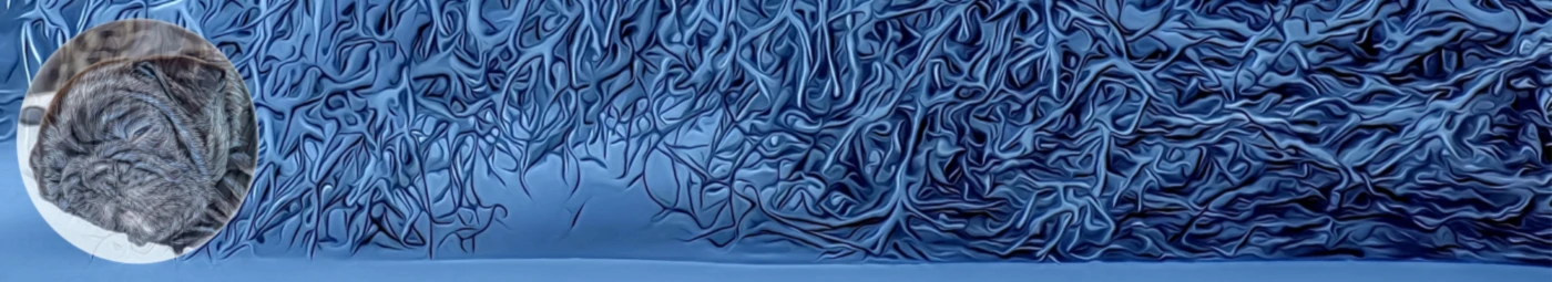 Bannerbild von martyniere