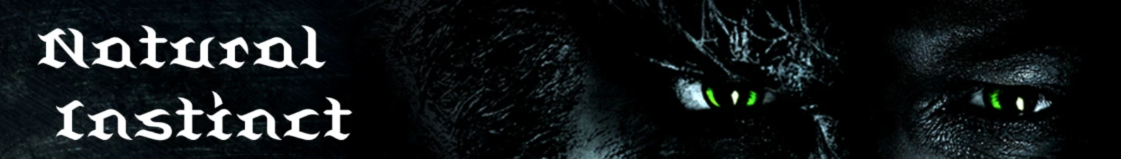 Bannière de LongSilver