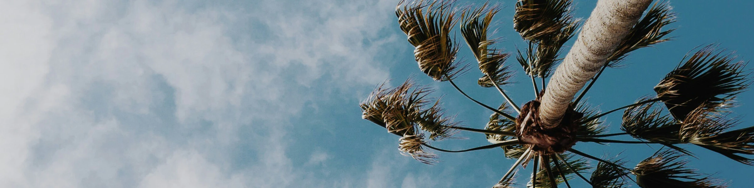 Banner image of TheFuture