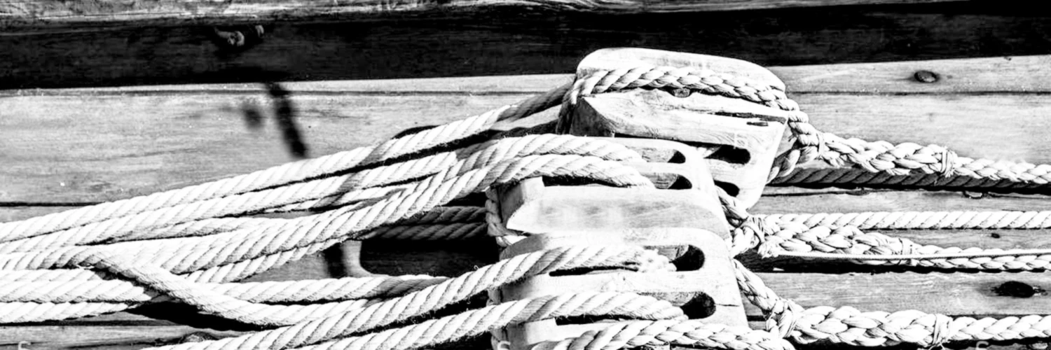 Banner image of Magpie and Starr