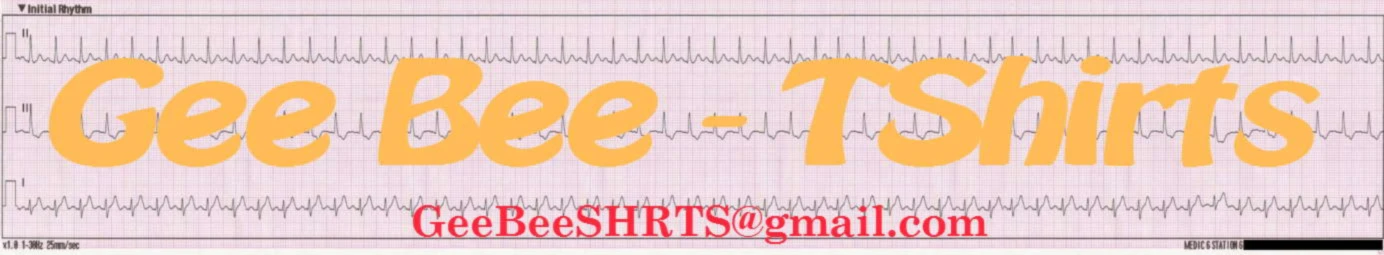 Banner image of GeeBee TShirts