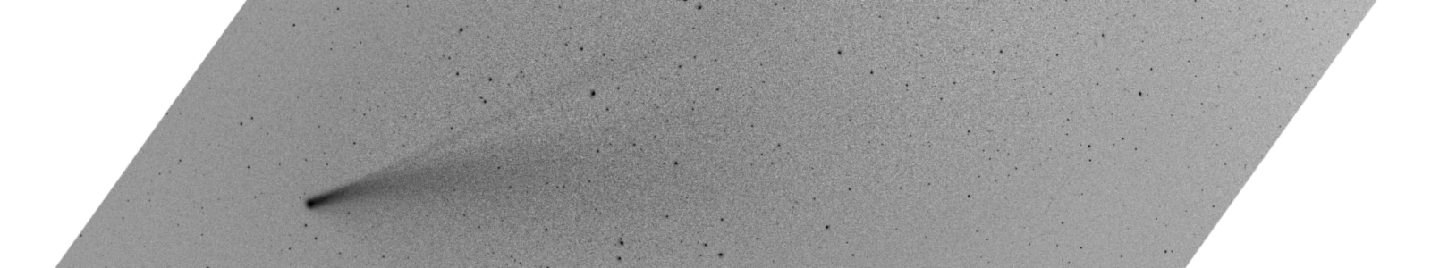 Bannerbild von AwesomeVegas