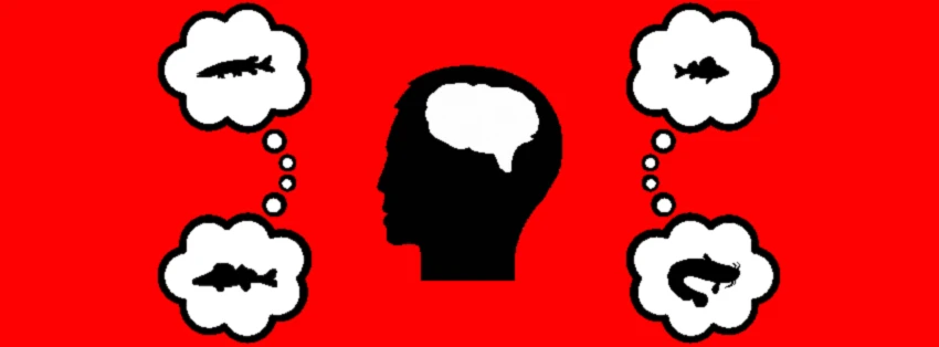 Banner image of Carnassiers 51